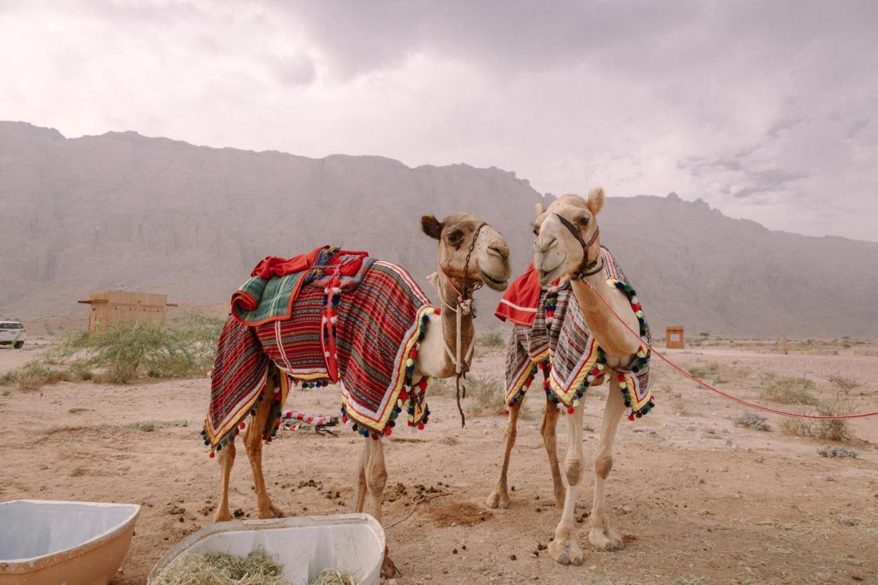 Pura Eco Retreat, Jebel Hafit Desert Park Al Ain Exterior foto